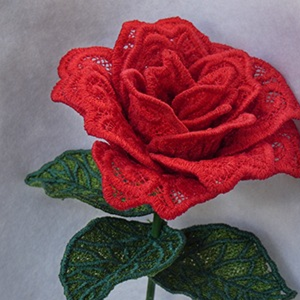 gallery/red rose 333 px