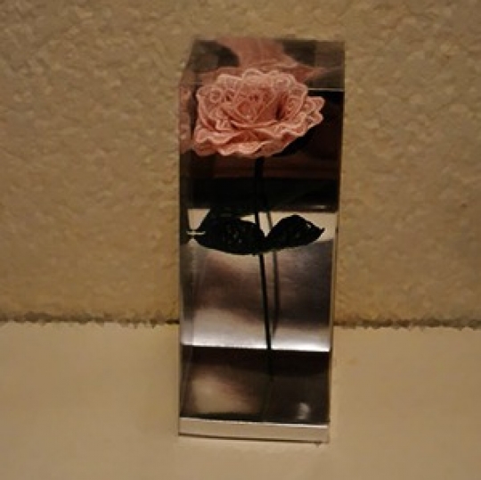 gallery/pink rose case 300